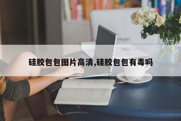 硅胶包包图片高清,硅胶包包有毒吗