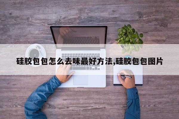 硅胶包包怎么去味最好方法,硅胶包包图片