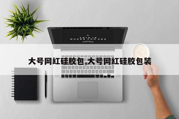 大号网红硅胶包,大号网红硅胶包装