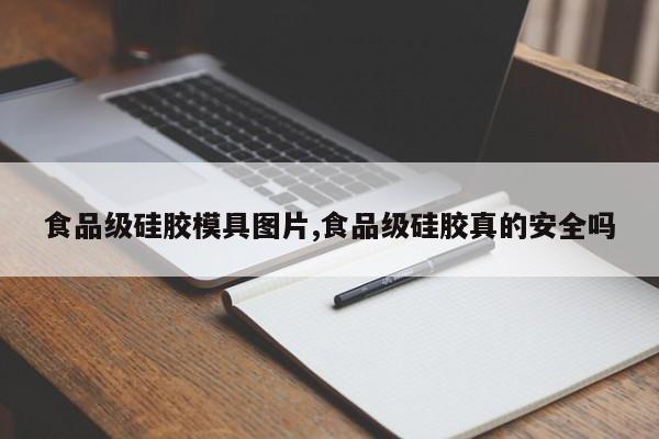 食品级硅胶模具图片,食品级硅胶真的安全吗