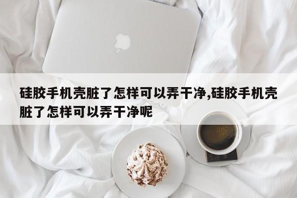 硅胶手机壳脏了怎样可以弄干净,硅胶手机壳脏了怎样可以弄干净呢